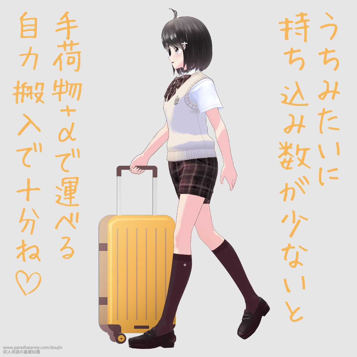 うちみたいに持ち込み数が少ないと 手荷物+αで運べる自力搬入で十分ね (同人する子)