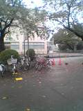 翌朝の病院前